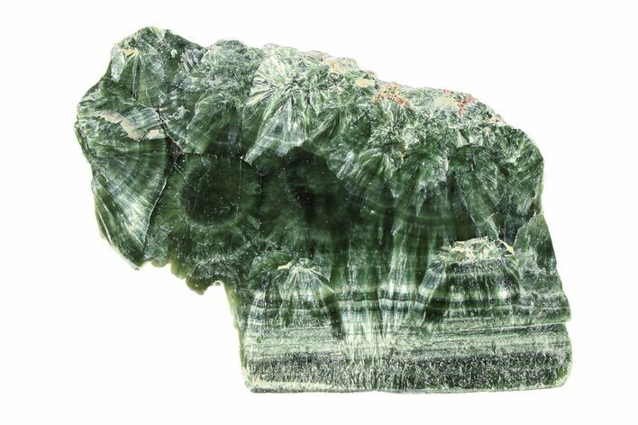 Polished Seraphinite Section - Korshunovkiy Mine, Siberia #301572